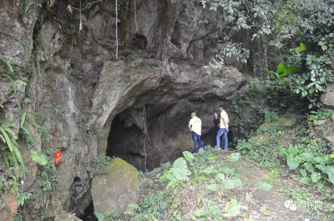 玉林兴业葵山风景开业当天,谢氏网跟随着谢武宁,谢金勇兄弟和黔国