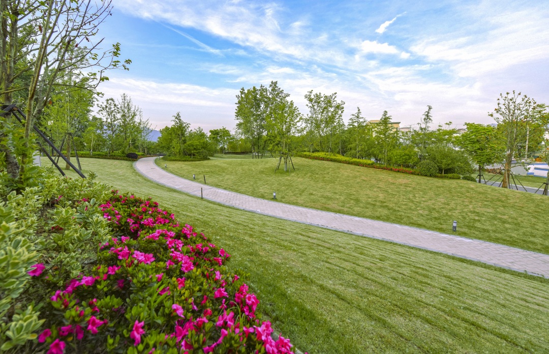 花阶草坪 ▎在该项目中,我们倾尽了诚心和匠心.