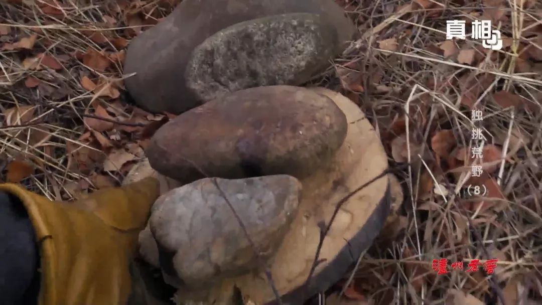 "派尤特陷阱"是美国西部的派尤特部落,发明的一种落石陷阱.