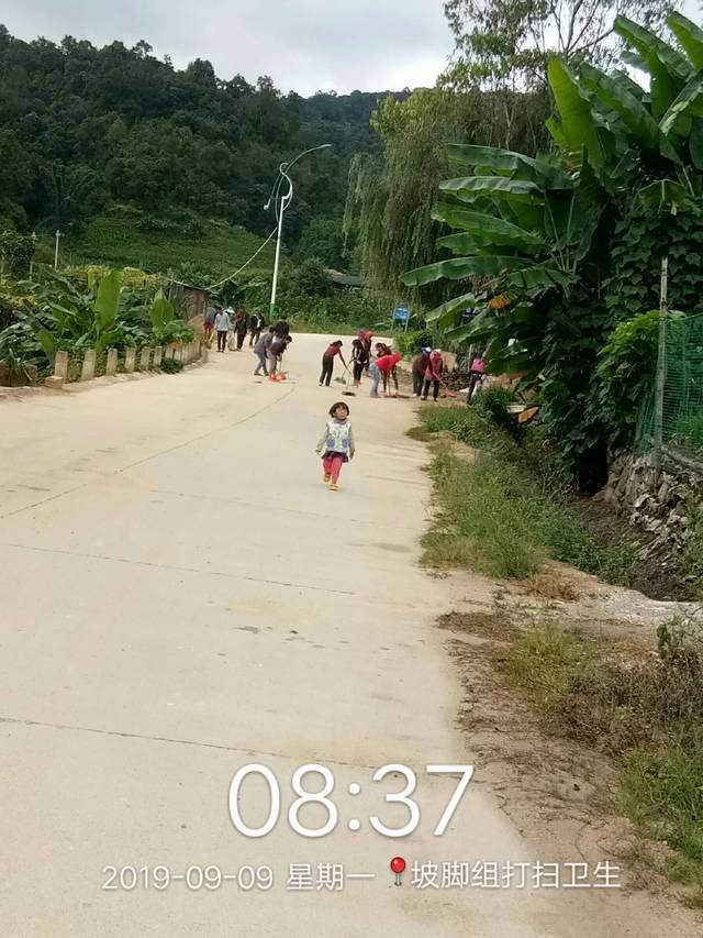 从小家美逐步到大家美