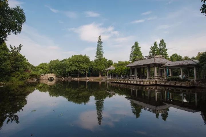 卢明娟:锻造邱隘铁军,推动"品质新城,活力邱隘"建设_邱隘镇