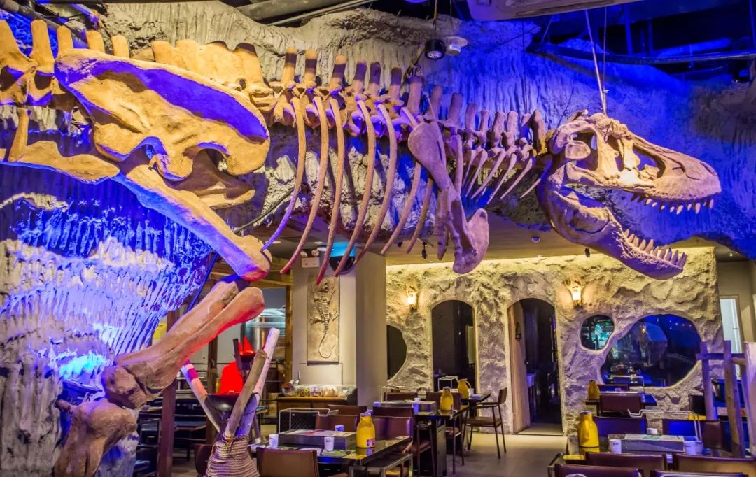 人均60享受自动烧烤还能亲手摸到恐龙