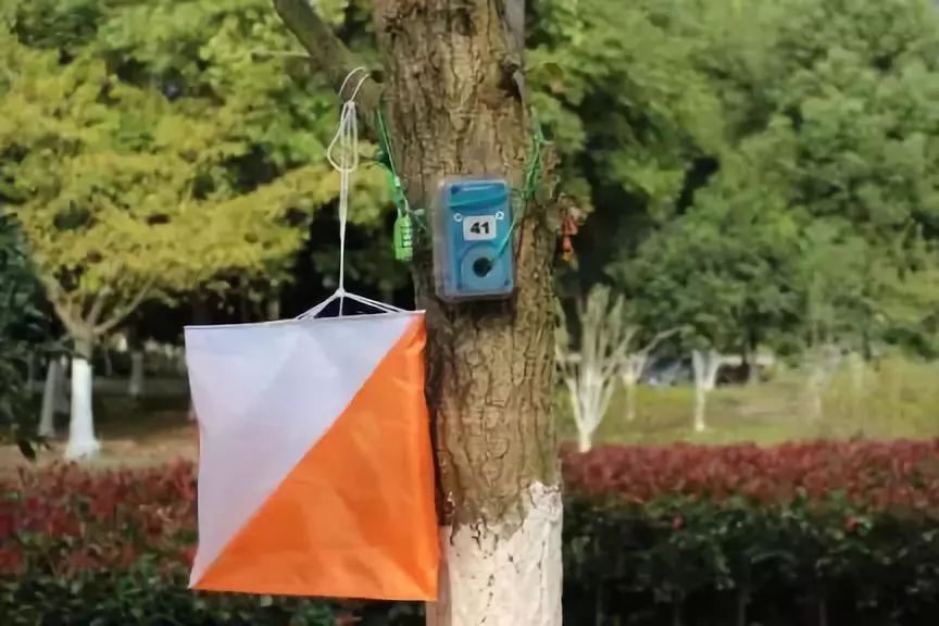 只不过在每个藏宝点上不是宝贝定向越野类似于寻宝游戏开始你的探秘之