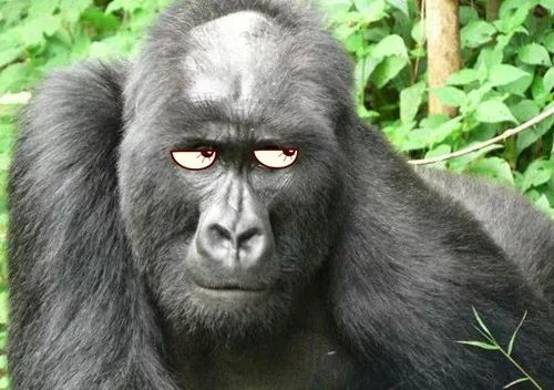 家庭教育no79不要让包办式的爱成为孩子成长的阻碍