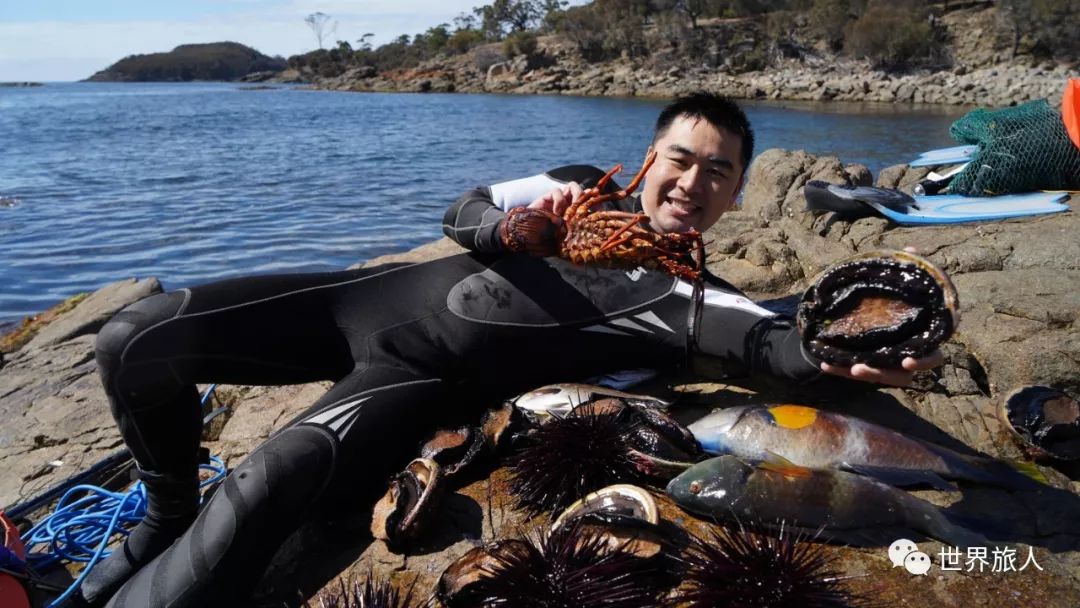 春節招募盛夏的塔斯馬尼亞品嚐龍蝦鮑魚生蠔遊艇出海釣魚美食美景輕奢