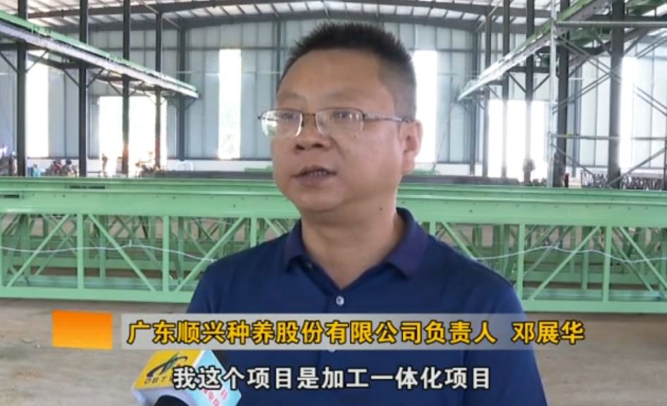 在大埔蜜柚产业园大埔顺兴蜜柚种植基地,果农正在忙着采收蜜柚.