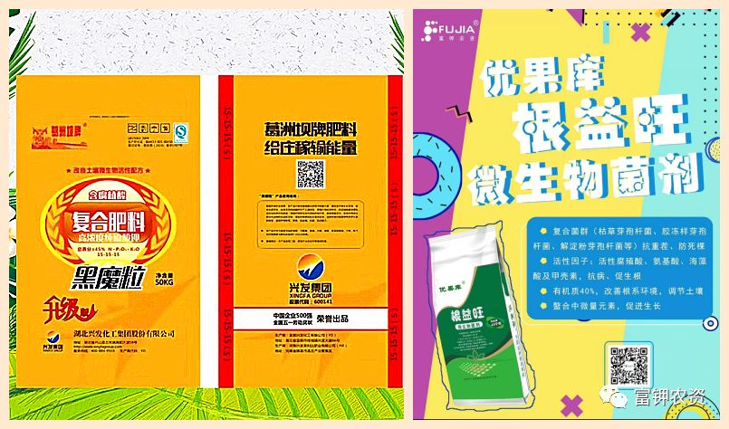 移栽前每亩施根益旺有机菌肥400公斤,高浓度复合肥(优肥库葛洲坝系列