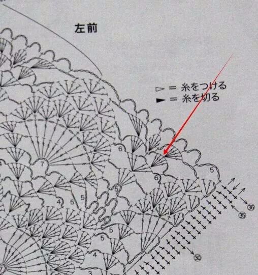 美丽的短袖雀羽钩衣