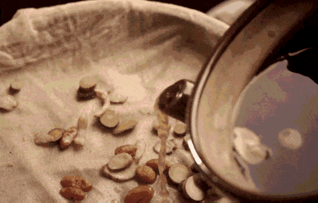 原创膏方节重磅第五届海派膏方节超全预约攻略抓紧时间抢福利