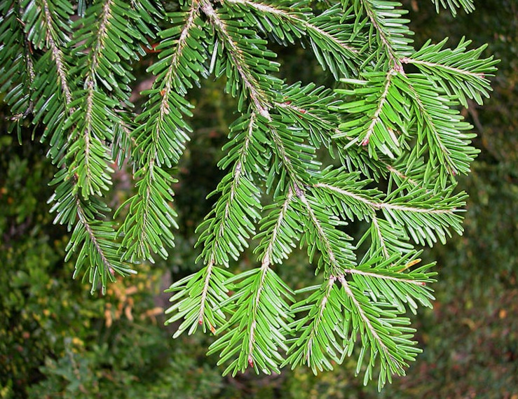 革新胶原蛋白重拾bling水光肌告别初老