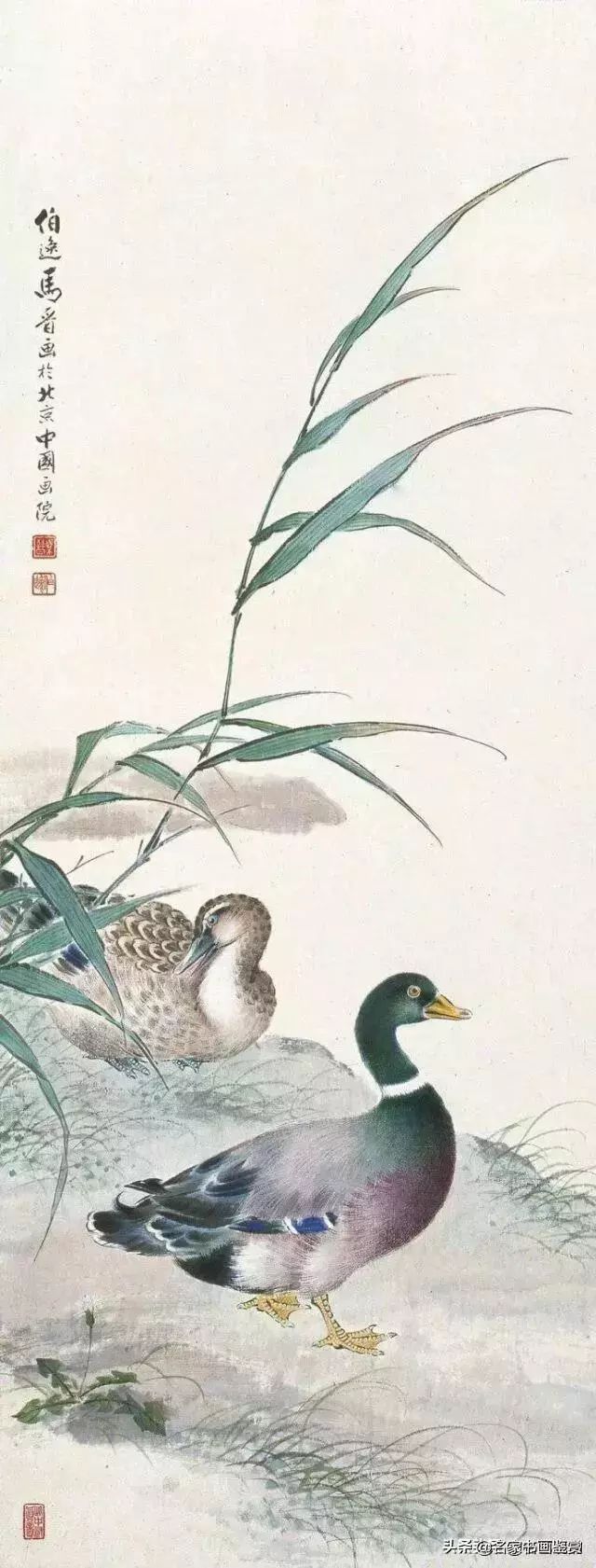 名人笔下的鸭子都这么画