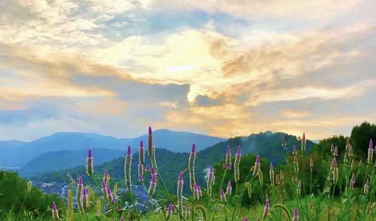 后岭花开园区诚招人才啦