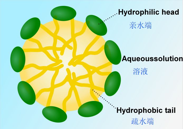 表活分子同时含有亲水基和疏水基,可与油污结合后溶于水中论及去渍