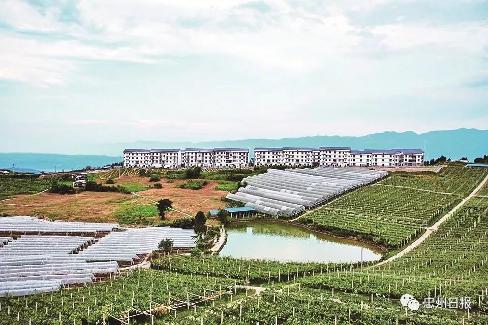 壮丽70年奋斗新时代忠县发展成就巡礼复兴镇怡人村色打造城市后花园