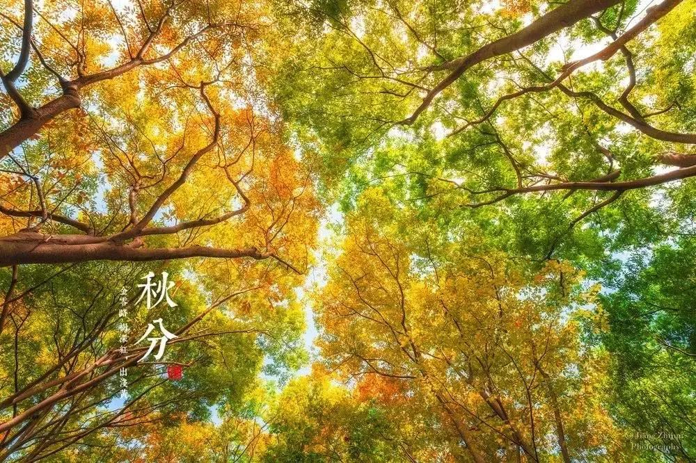 下一个节气之"秋分"