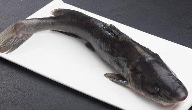 原创鮰鱼这5种做法做法简单在家里就能轻易完成学会做给家人吃