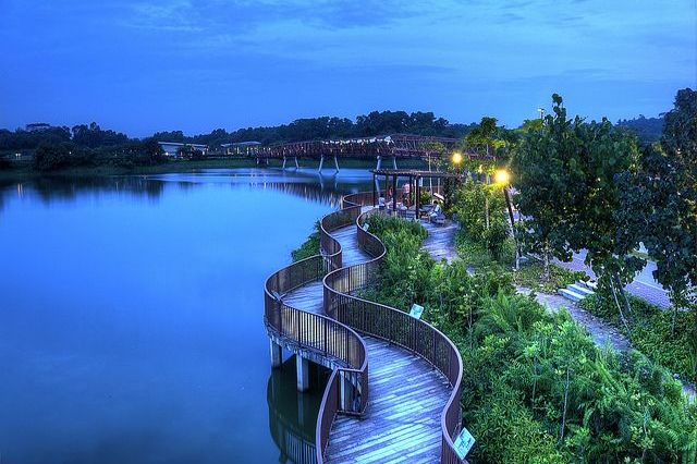 成都人最末最爱去双流新城公园据说是亚洲最大的城市湿地公园