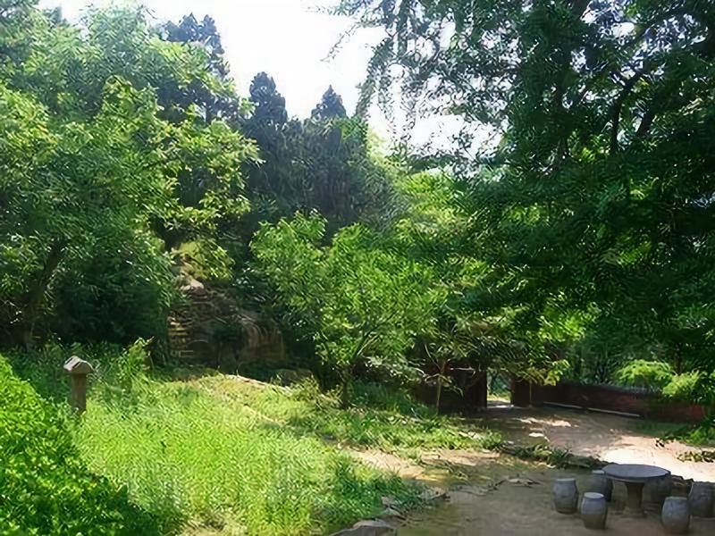 9月22日周日泰山玉泉寺锦绣谷休闲一日游含午餐