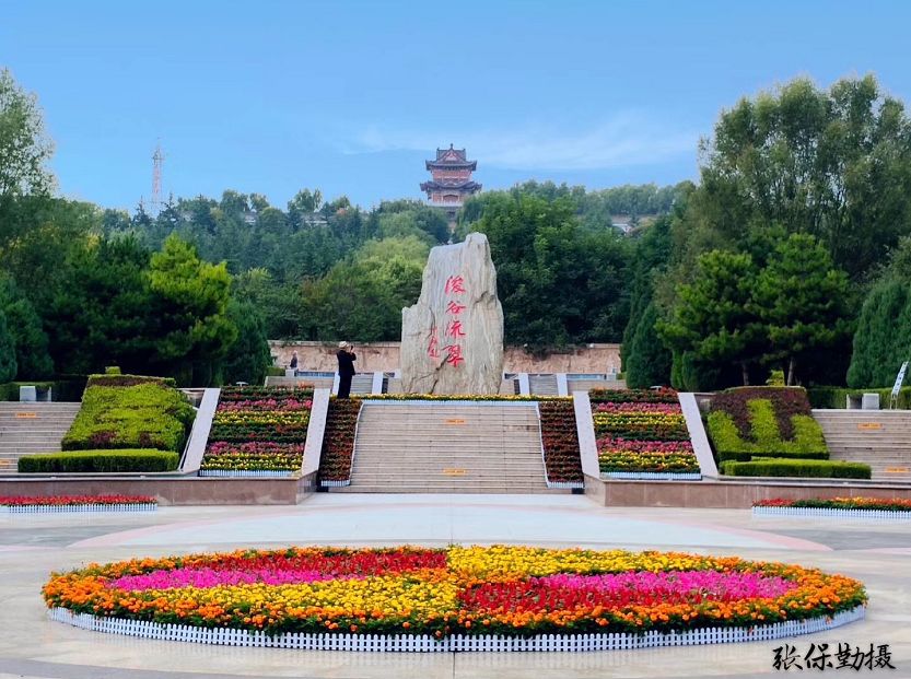 南山公园里,松柏葱葱郁郁,与山石,亭,榭相互映衬,交织如画,市民趁着好