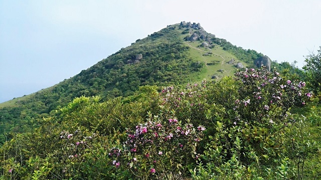 恩平第一高峰龙头岭