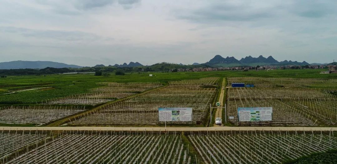 五月豆香食品有限公司,恒丰米业,三箭米业,远鸿食用菌,东升农场等企