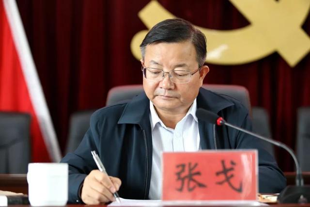 会,市委常委,区委书记,区委主题教育领导小组组长张戈主持会议并讲话