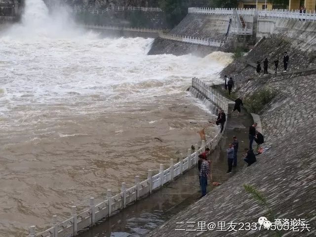 视频:二龙山水库泄洪场面壮观,村民罔顾危险下江捞鱼不亦乐乎!_商洛