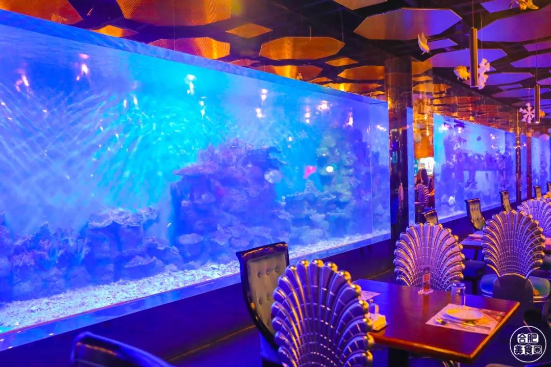 27折合肥第①家海洋主题餐厅边吃大餐边看美人鱼表演