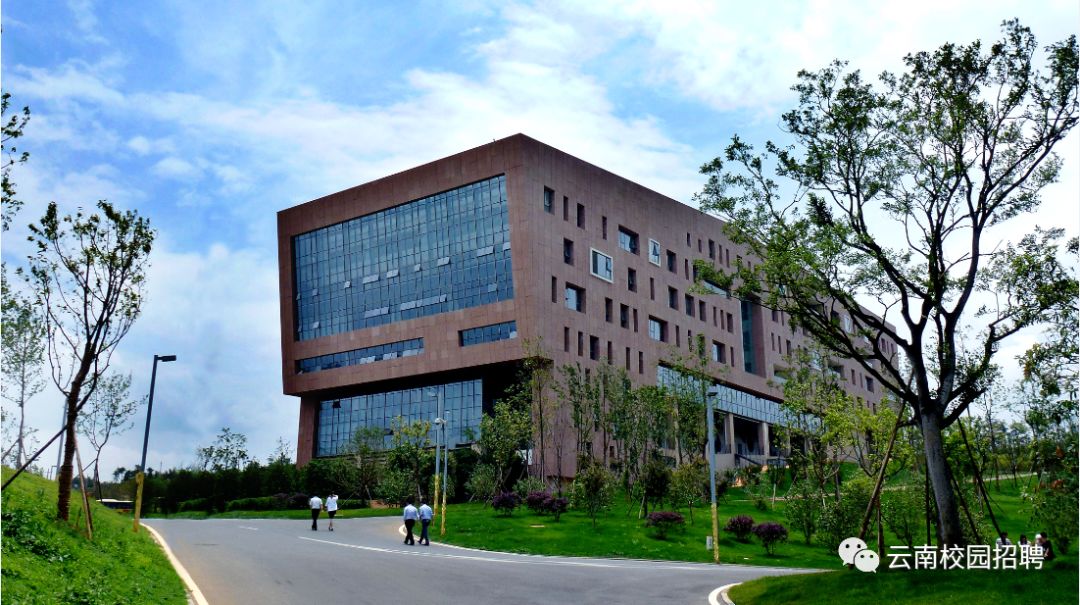 招聘试用期50005500元月云南白药集团云南省医药有限公司2020年招聘