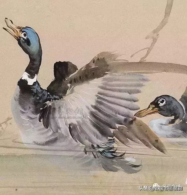 名人笔下的鸭子都这么画