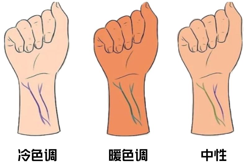 手腕血管颜色判断肤色图片