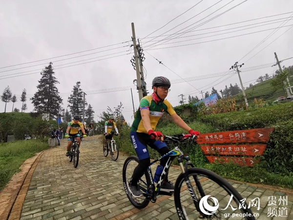 云端骑行发现多彩贵州 古茶树寻根骑行之旅在普安开幕
