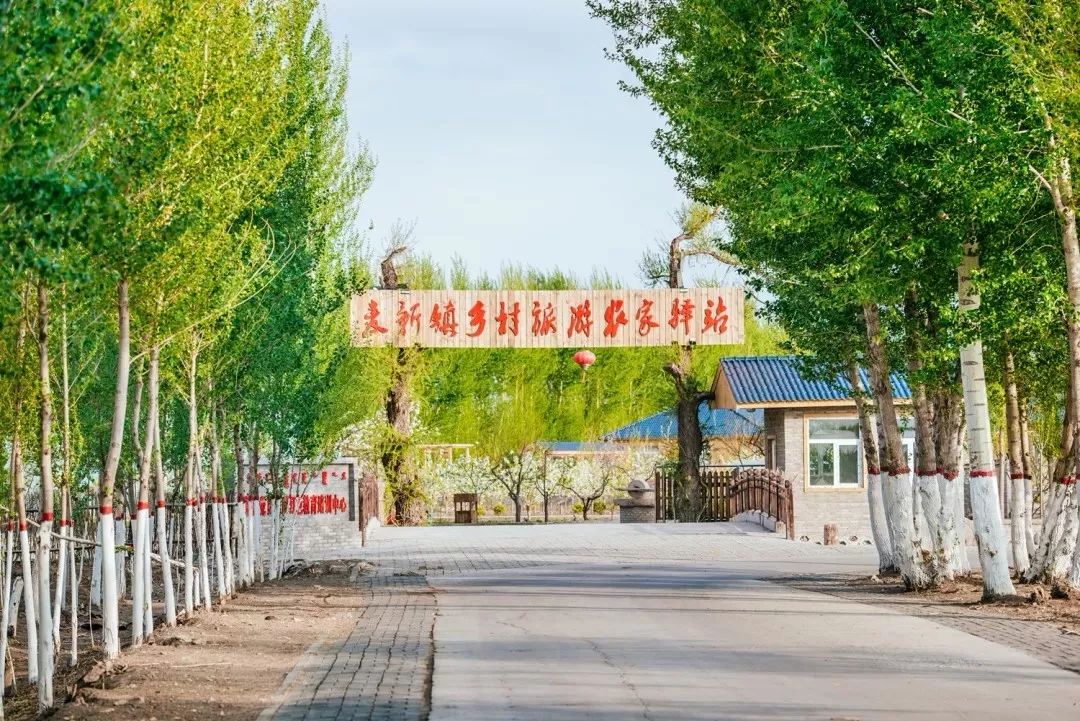 吃上旅游饭 日子香又甜_麦新镇