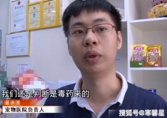 兇手下毒「火腿夾藥丸」，小區寵物頻頻遭殃！主人：孩子差點誤食 寵物 第7張