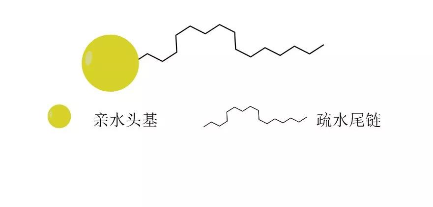 香皂,牙膏,沐浴液…这些洗护用品为什么能去污?