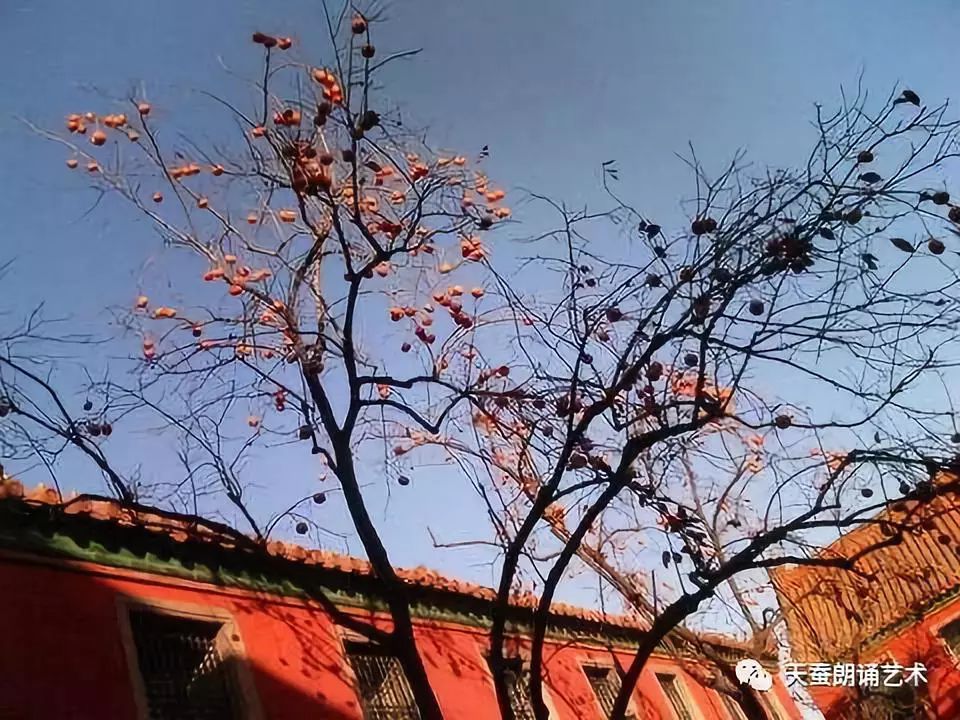 朗诵故都的秋