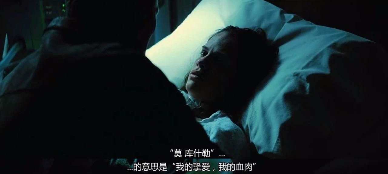 百万美元宝贝如烟花般绽放即是永恒