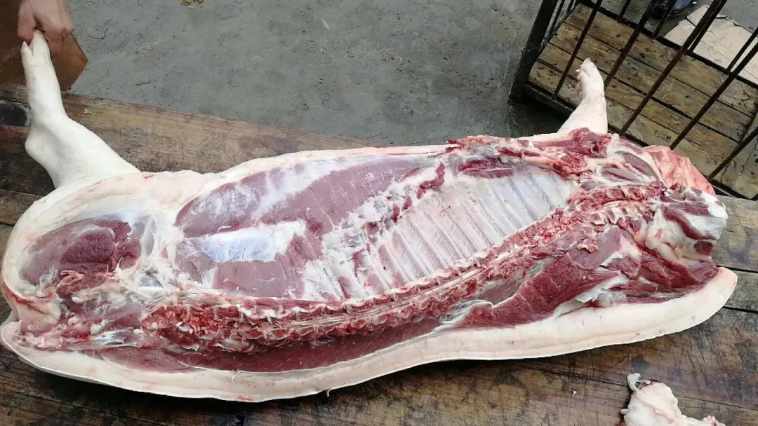 为什么生态土猪越来越受人们欢迎