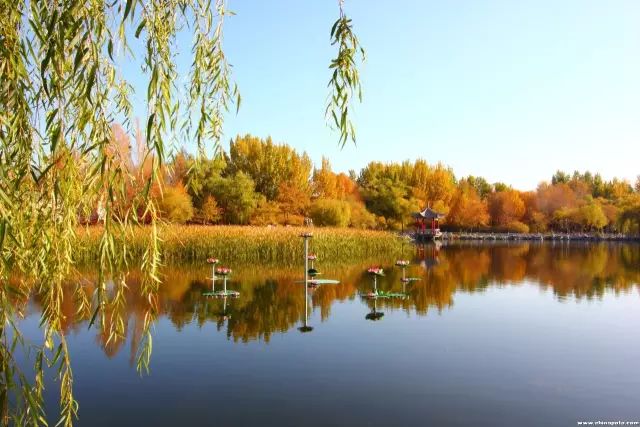 让我们来看看摄影爱好者眼中,肇东秋天的样子!