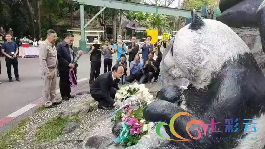 清邁動物園熊貓館前,民眾可獻花,悼念.