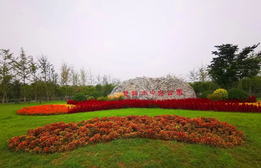 郑州双鹤公园图片