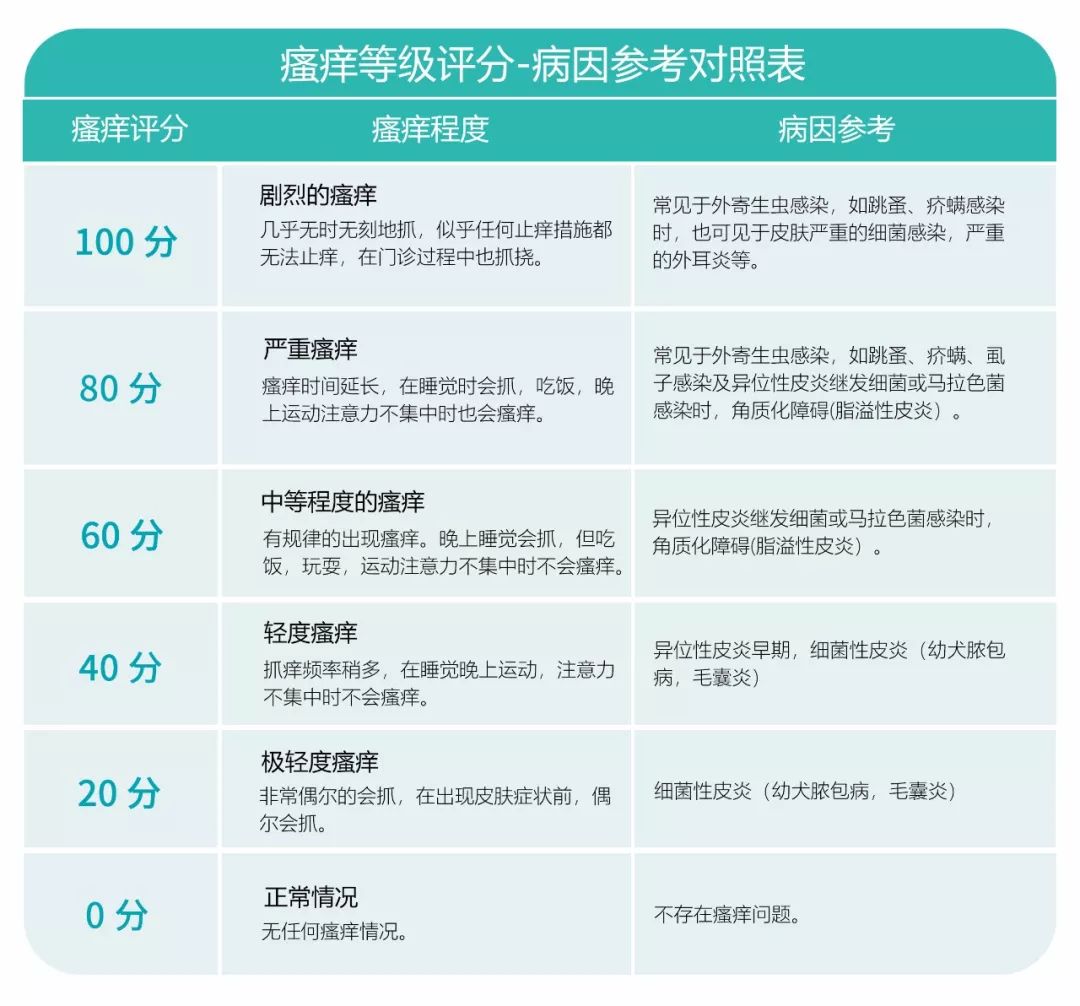 5例瘙痒性皮肤病病例专家点评跟随名师诊疗思路查漏补缺2