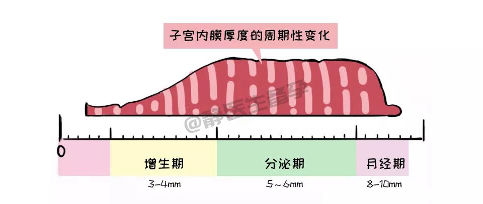 月经期 子宫内膜厚度可以达到8