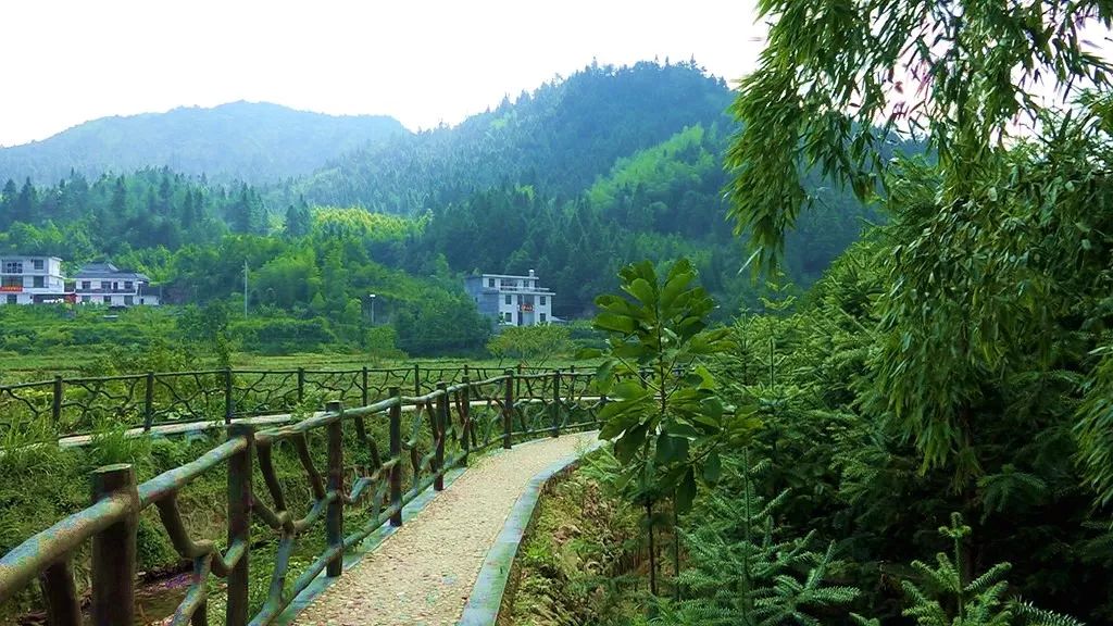 幸福桂东青竹印象之二幸福的村民将游客当家人越努力越幸福