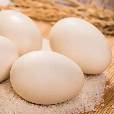 鲜细嫩松沙油俱全满足挑剔味蕾大凌河雁鹅蛋