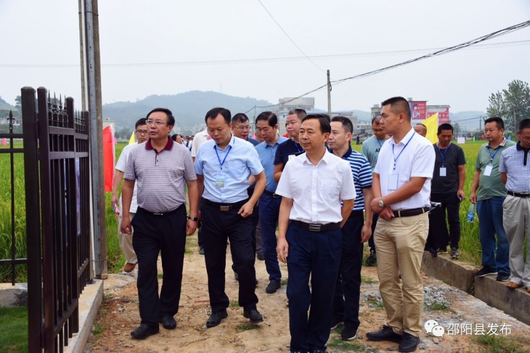 湖南省这个现场观摩培训会选在邵阳县举行