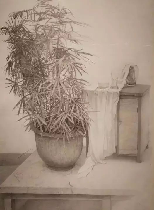 《竹图》卢德明 纸本铅笔 /109x78cm / 2015《弥失.