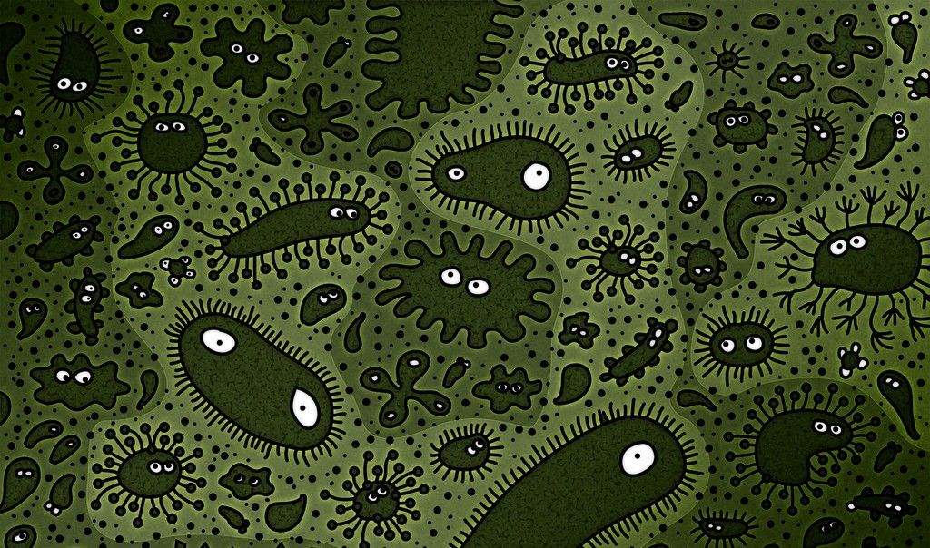 食品微生物污染的危害