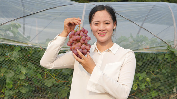 邵阳县塘渡口镇培养青年致富助力脱贫
