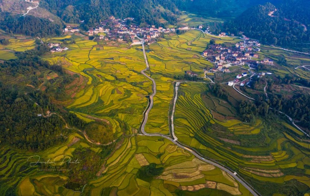 错过了没关系今天再睹金色花垣大片儿